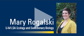 Mary Rogalski