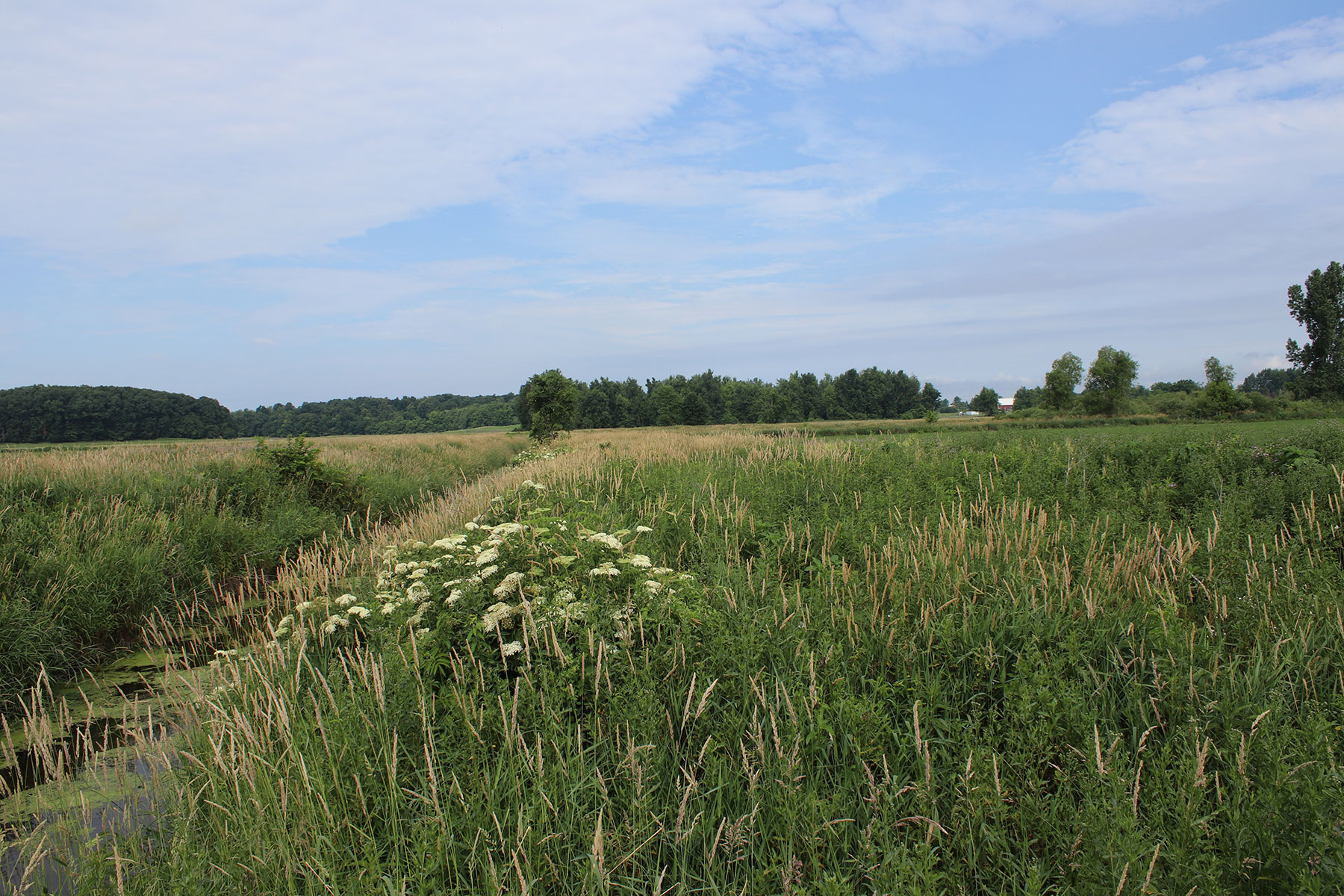 Field tour photo