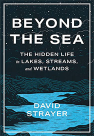 Beyond the Sea book cover