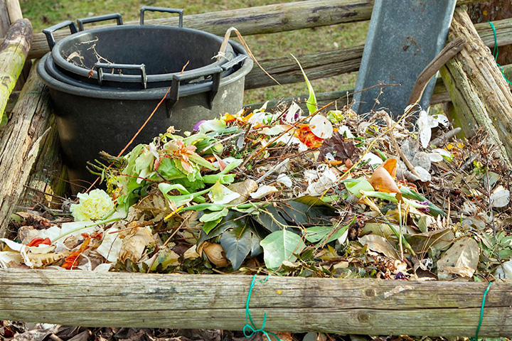 Compost