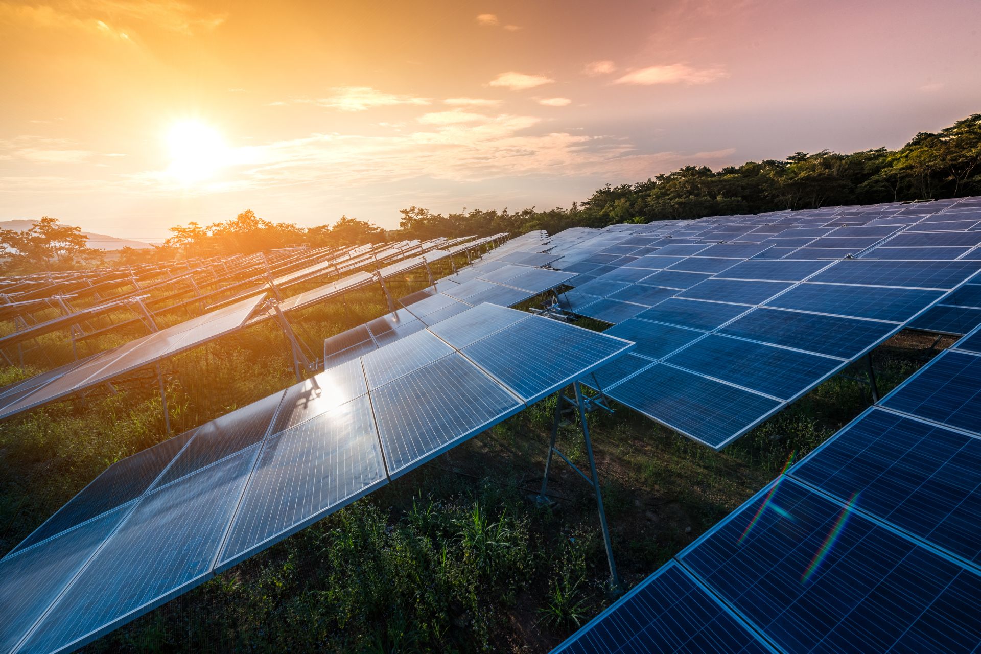 Decorative: Solar array on farm field