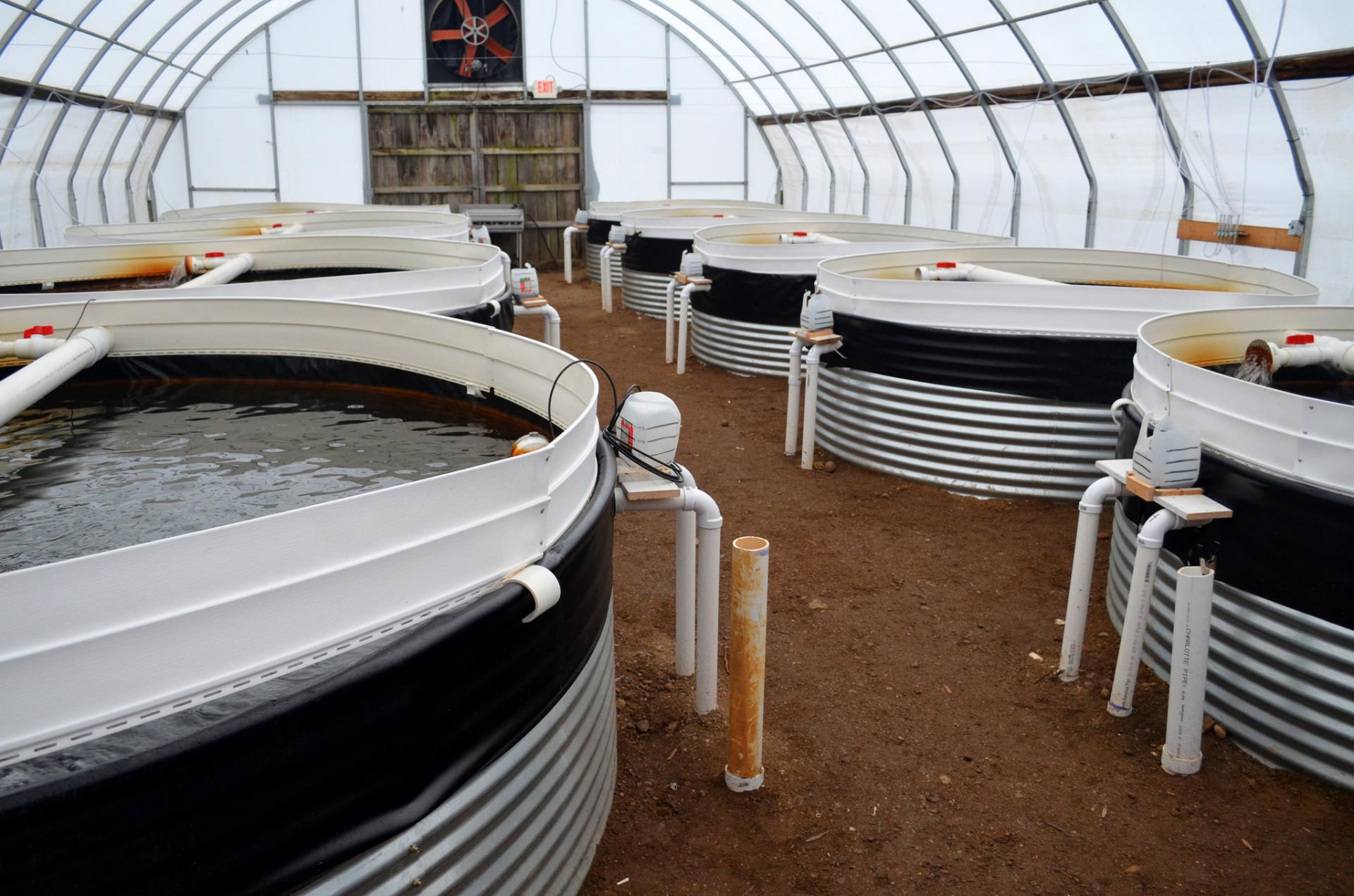 Aquaculture pens. Photo by Todd Marsee, Michigan Sea Grant