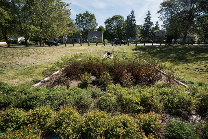 A bioretention garden manages stormwater in the Warrendale neighborhood of Detroit.