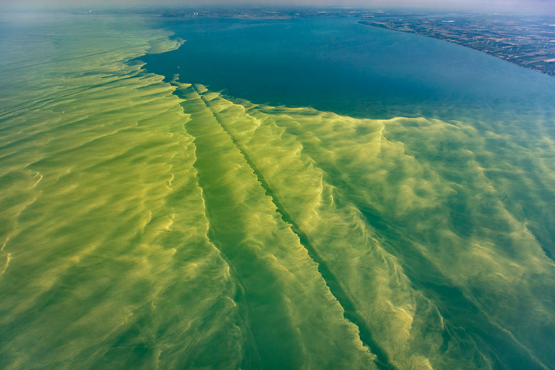 Lake Erie in Bloom. Credit: skypics.com