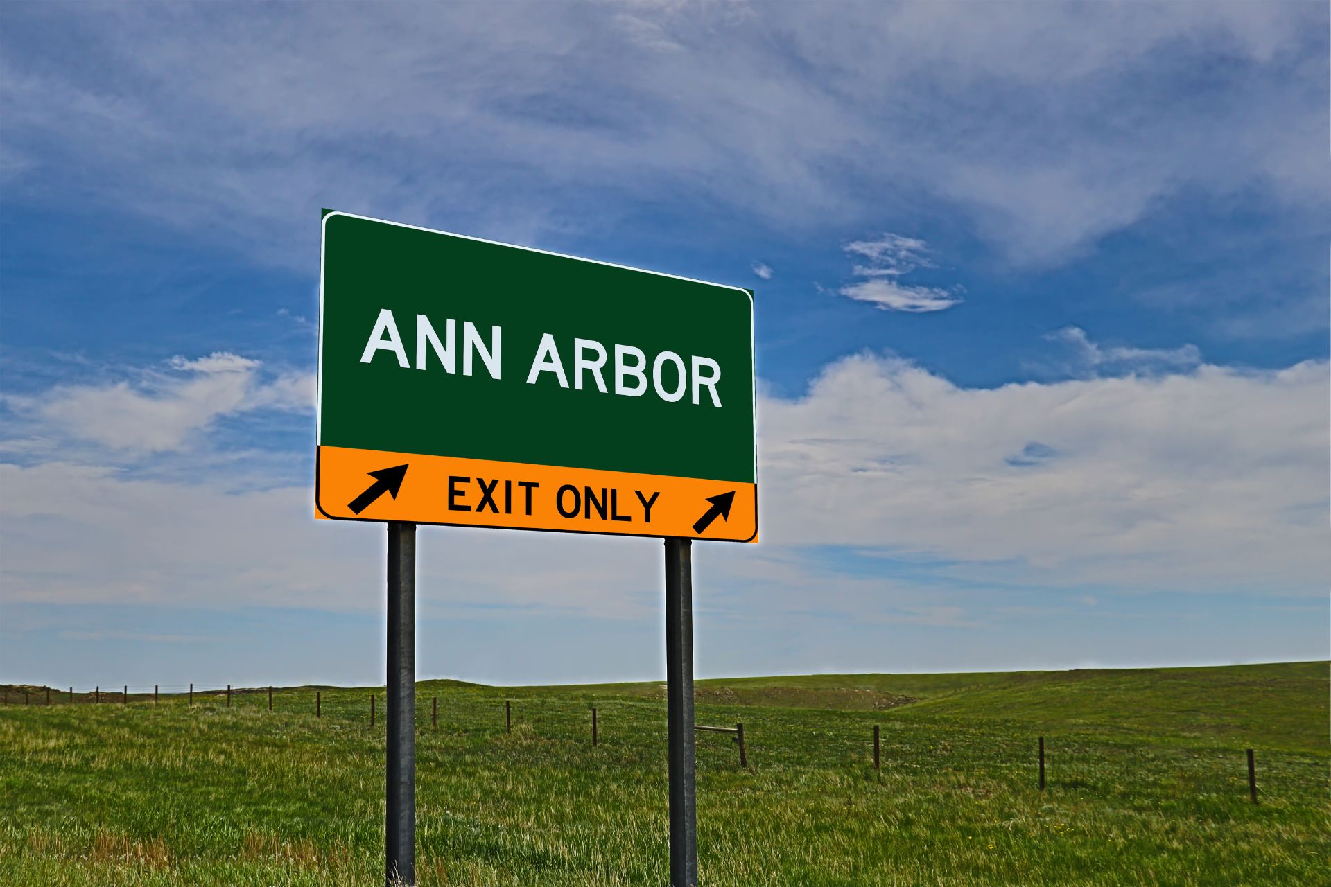 Decorative: Ann Arbor expressway exit sign