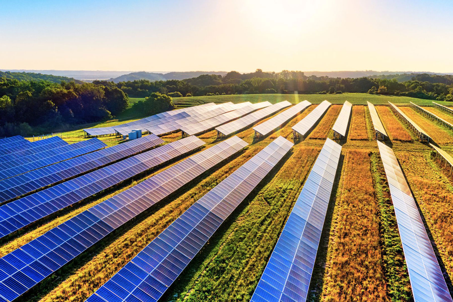 Solar array in rural area