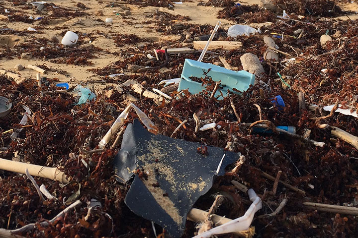 Waste piling on the beach. Photo by Dustan Woodhouse on Unsplash.