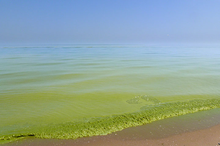 Tom Archer, Source: Michigan Sea Grant