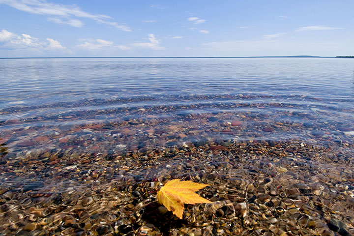 Maple leaf on Lake Superior