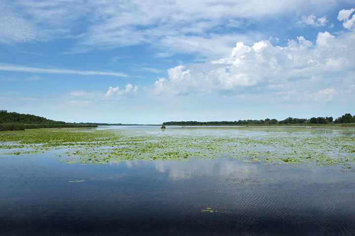 Photo courtesy of Michigan Sea Grant