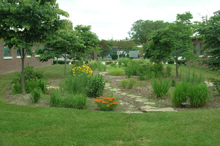 Rain Garden