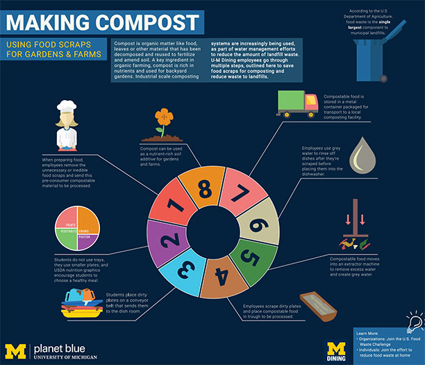 Infographic Image